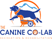 The Canine Co-Lab